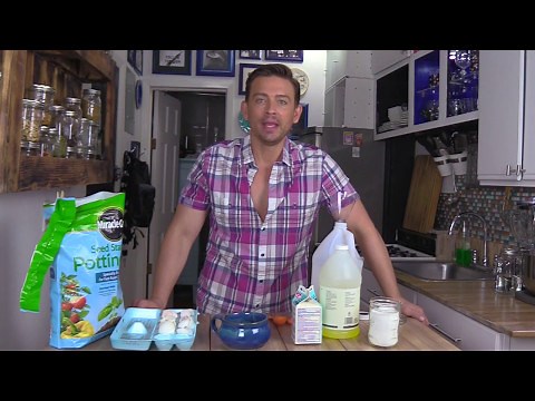 Homemade Miracle Grow Fertilizer www.AustininHouston.com
