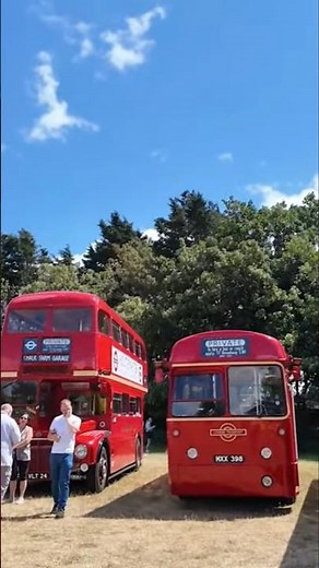 When Buses Were Beautiful: A Transport Legacy