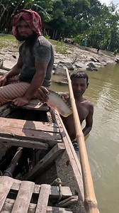 Baby Citol Fish catching By Hand #fisherman #Fishing #fishinglife #bigfish | Local Fishing Videos