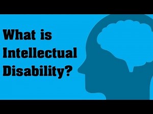 What is an Intellectual Disability