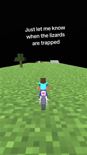 How to catch a lizard 🤔🤔🤔🤔