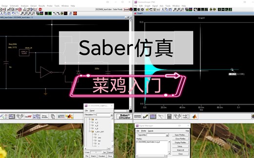 Saber仿真教程菜鸡入门