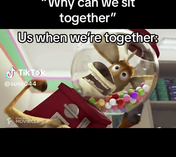 #openseason #school #fyp | open season meme