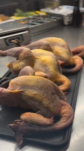 3.6K views · 23 reactions | The yellow guinea fowl, raised freely in...
