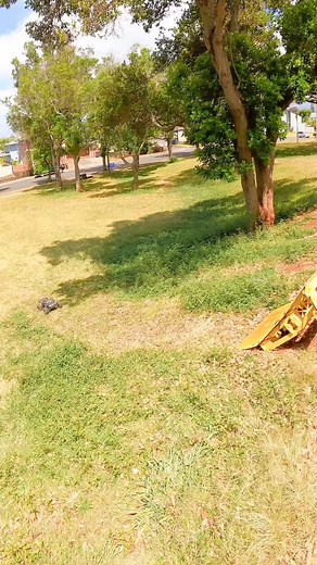 Extreme RC Parkour Stunts with Trucks & Ramps