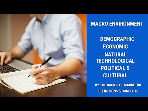 The Macro Environment
