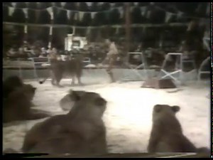 Special - The Chipperfields Circus - Lion Tamer - Host Robert Morely imasportsphile.com