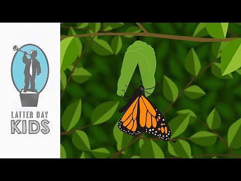 A Mighty Change of Heart | Animated Scripture Lesson for Kids