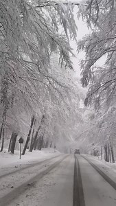 Have you ever felt the raw allure of a road that seems to lead straight into a dream? The road to Poiana Brașov, blanketed in snow and kissed by frost, is more than a passage—it’s an invocation. Ice-draped trees stand like ancient sentinels, their branches heavy with crystalline armor, while the road itself winds through a monochrome wilderness, daring you to embrace its treacherous beauty. This isn’t just driving; it’s a communion with winter’s wild heart, where the cold bites, the silence humb