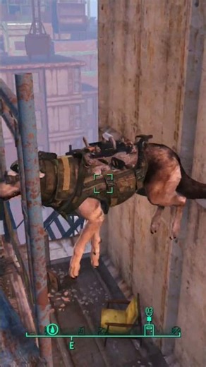 how to Unstuck a Dogmeat 🐕