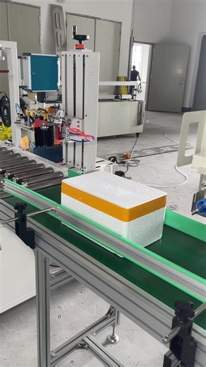 Automatic Box Sealing and Sensor-Activated Labeling