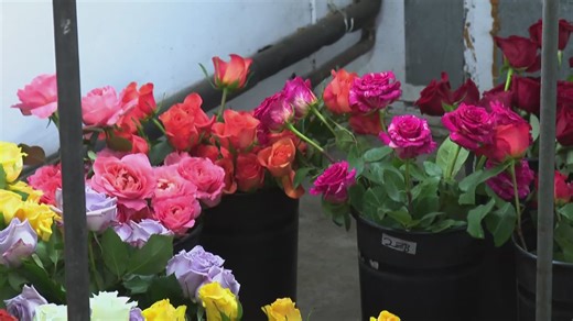 Local florists prepare for Valentine's Day