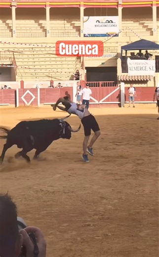 VAYA VIAJE LE PEGA A ESTE ENORME TORO‼️BRAVO BRAVO🤌🏻❤️
