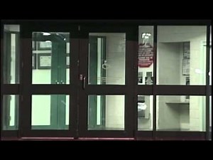 News 8 video headlines