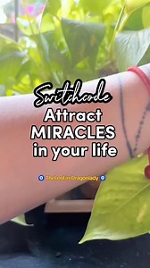 Switchcode to attract miracles #switchcode #magiccode | Mylene Cabrera