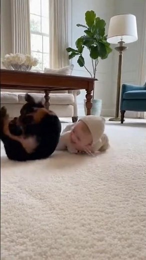 Black Rottweiler puppy Meets a Playful Baby 🐶 | Rolling Starts 🔄 | Smiles Take Over 😊