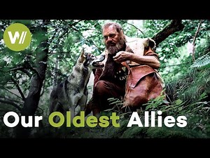The History of Animal Domestication from the Neolithic to the Middle Ages | Taming the Beasts (1/2)