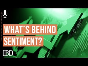 Minervini: The Signs Behind Sentiment And How To Tell If A Rally Will Last