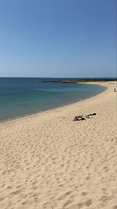 ⛱️ La plage de Saint-Pierre, pentue et sauvage, entourée de dunes, avec vue sur le petit bois de la pointe Er Hourel. Le paradis 💙 Bon week-end sous le soleil ! ☀️ 🎥 Baie de Quiberon Tourisme | Baie de Quiberon Tourisme