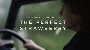 OPPO TV Spot, 'In Pursuit of Greatness: The Perfect Strawberry'