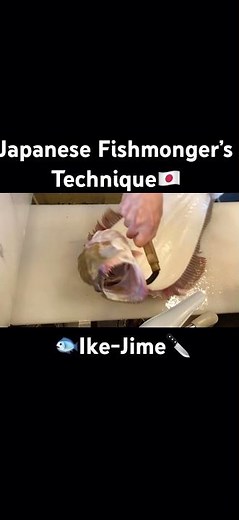 How to Keep Fish Fresh: Japanese Ike-Jime Method. #IkeJime #OniJime #JapaneseTechnique #SushiChef