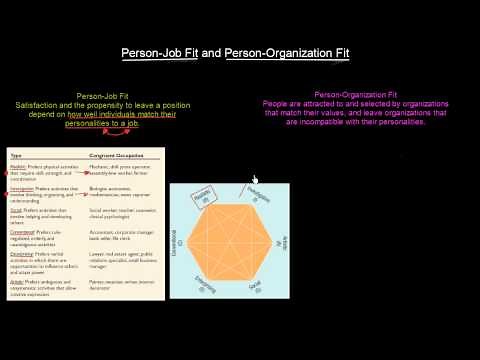 Person-Job Fit and Person-Organization Fit | Organisational Behavior | MeanThat