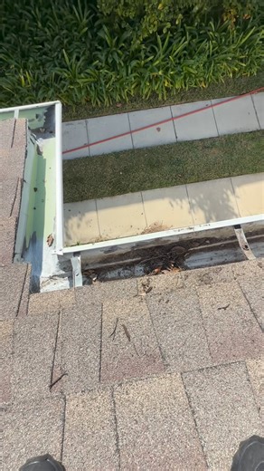 Unexpected Find During Gutter Cleaning 🐜💦 This wasn’t just debris—it was a full ant colony hiding in the gutter! Regular cleaning keeps pests, clogs, and roof damage away. You never know what’s hiding up there until you look! What’s the wildest thing you’ve found while cleaning gutters? #GutterCleaning #AntColony #HomeMaintenance #WCRLife #IOrderFromWCR | Paz Window Cleaning