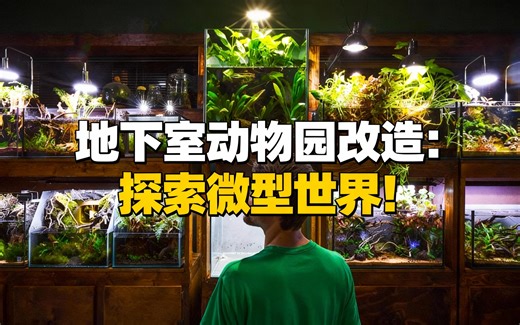 [中配]地下室动物园改造：探索微型世界！ - SerpaDesign