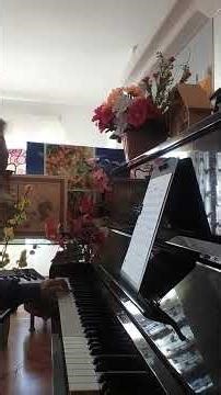 Spring, music 🎼 Antonio Vivaldi.Cover by David Hoa.