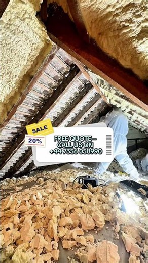 Professional Spray Foam Removal