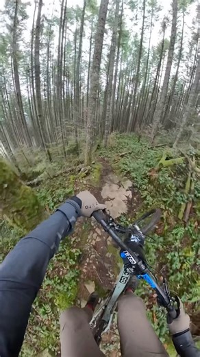 5.9K views · 64 reactions | Some forest flow from yesterday’s ride 窱 • @dunbarcycles @transitionbikes @noblwheels @akta_mtb • #mountainbiking #mountainbike #vancouverisland #viralMTB #ride #NOBLTr37 #NOBLwheels #downhillMTB #FreerideMTB #downhillLife #GoPro #GoFast #Bike #mtbgram #cyclinglife | Dean Tennant | Facebook