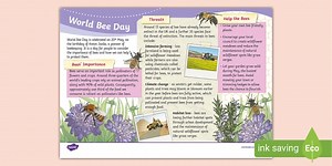 World Bee Day Fact File