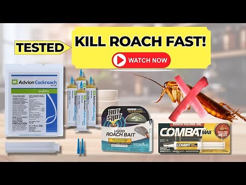 🪳 The Best Roach Killers (And How To Use Them)