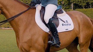 Have you ever ridden in a saddle that didn't fit you or your horse? We sat down with a master saddle-fitter to find out how she properly fits a saddle! Full Learning Center video 👉 https://www.usef.org/learning-center/videos/saddle-fitting | US Equestrian