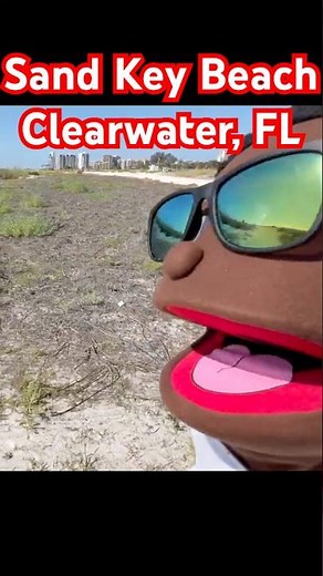 Sand Key Beach Walkthrough | Clearwater’s Best Hidden Spot