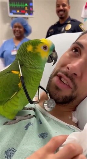 This parrot deserves its own comedy show.#youtubeshorts #parrot #talkingparot #talkingparrot #funny