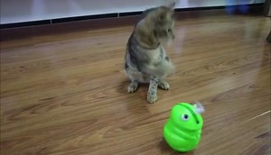 Watch How to play frenzy fly butterfly toy on Amazon Live