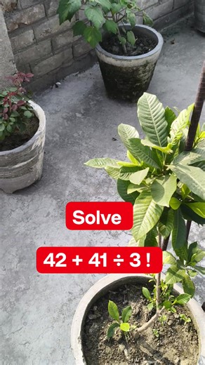 Solve it Mat Test Solution | Learn And Solve