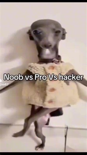 Ddd Ddf (@ddd.ddf62)’s videos with original sound - Ddd Ddf