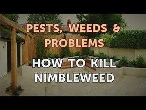 How to Kill Nimbleweed