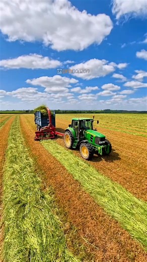 Here is Graham in the John Deere 6830 tractor. On the back he has a trailed forage harvester and trailer. He is working in this field of mowed herbal lay which will go to make silage for their cattle Bartle Bros. Also in the field~ | Hazel Weeks | Facebook