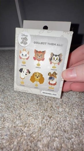 Disney Cats and Dogs Box Lunch Exclusive Mystery Blind Box Pin Opening