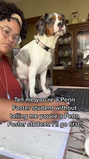 Discover the World of Online Learning at Penn Foster