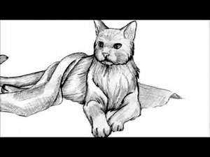 Pet Memorial - Owner, Dearest Friend (No Bloopers)
