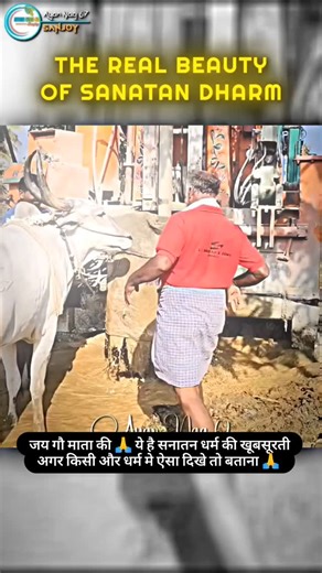 SANATAN_DHARM_SHAKTI on Instagram: "जय गौ माता की 🙏 ये है सनातन धर्म की खूबसूरती अगर किसी और धर्म मे ऐसा दिखे तो बताना 🙏"