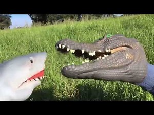 Disney Shark Puppet And Dave Cartoon Cat The Movie 2054