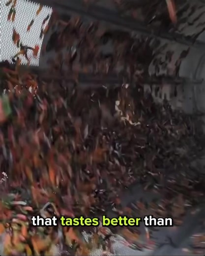 Sour gummy worms on sale with free shipping give them a try now it’s everyone’s new favorite candy #rottencandy