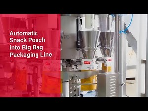 How This Snack Packaging Machine Packs Small Bags into Large Bags | Echo Machinery
