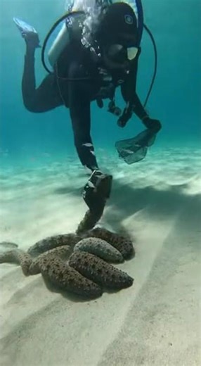 Deep Sea World Underground | Hidden Ocean Secrets Beneath the Earth