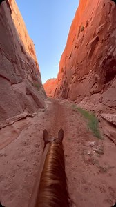 Still glowing from this ride. I think this also much be the closest thing to camouflage I’ve ever seen of Thelma! #utah #longcanyon #slotcanyons #horses #horseriding #redmare #camouflage #equineasmr #reddeadredemption2 #greengoldandblues | Green, Gold and Blues